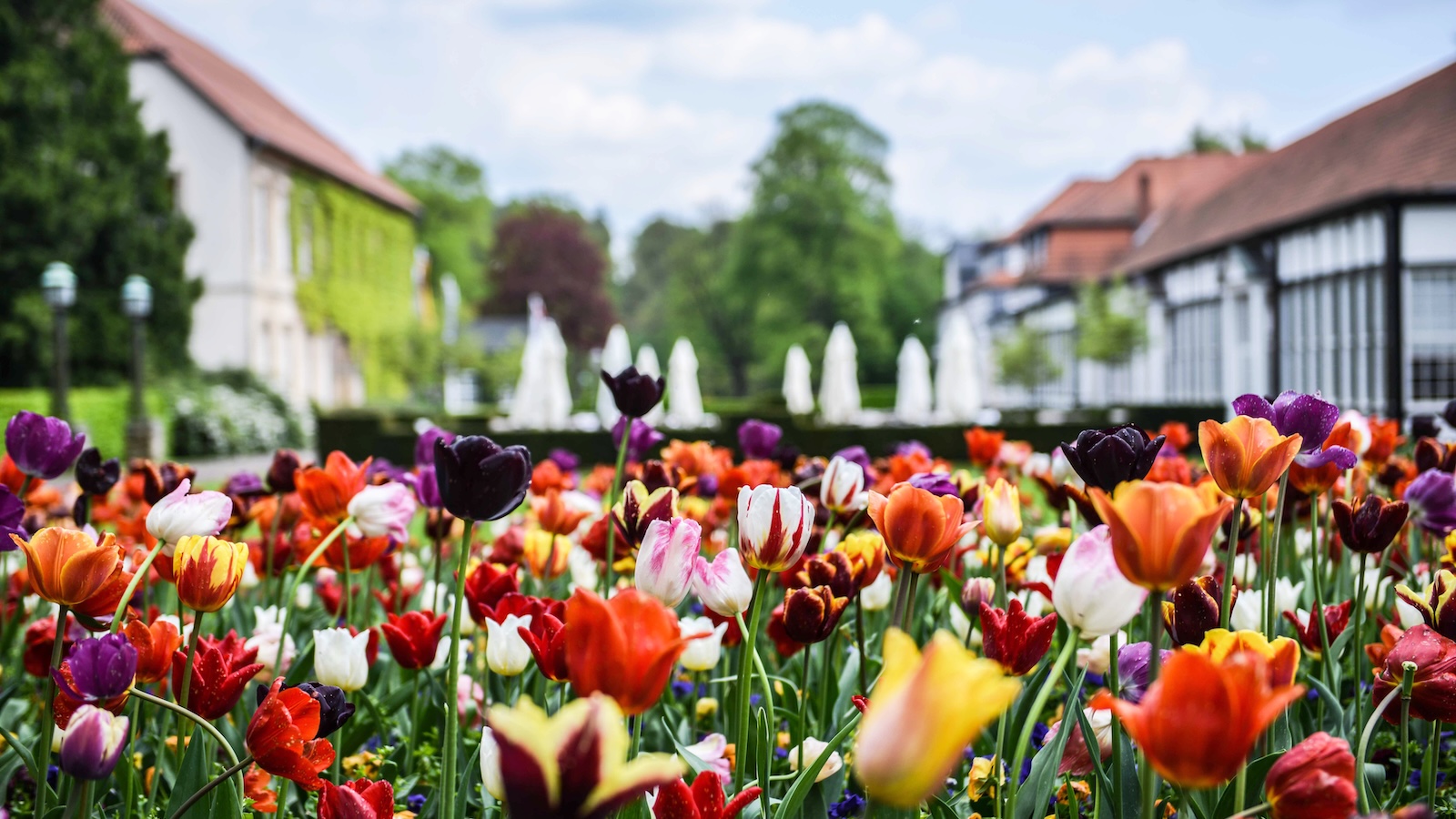 Gräflicher Park startet gebührenfrei in die Saison 2026