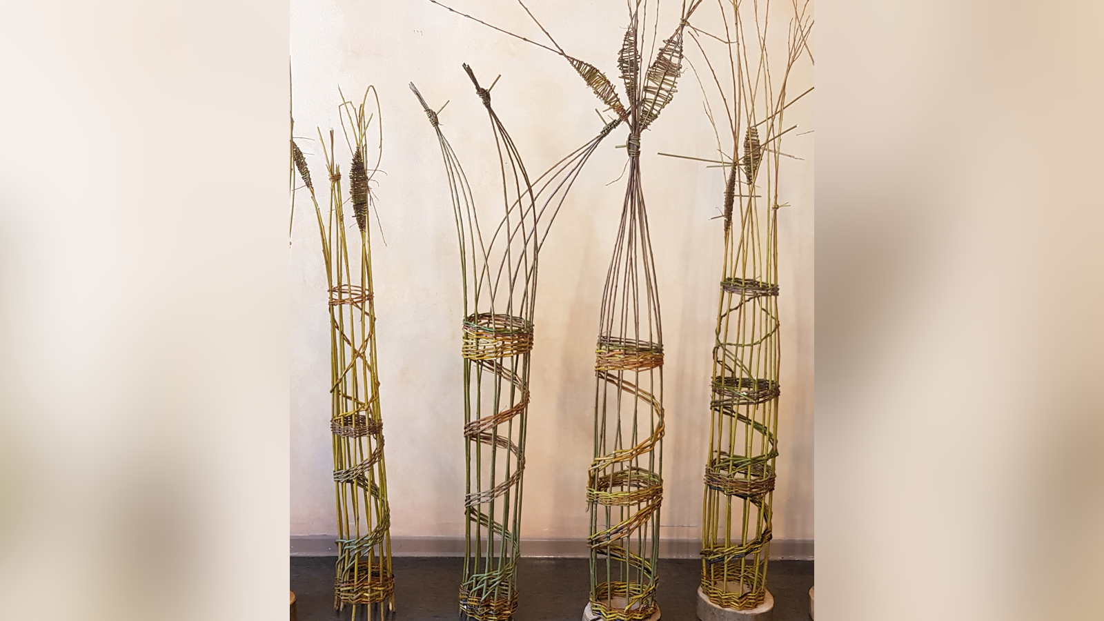 Workshop in Modexen: Rankhilfen aus Weide flechten und nachhaltig gärtnern