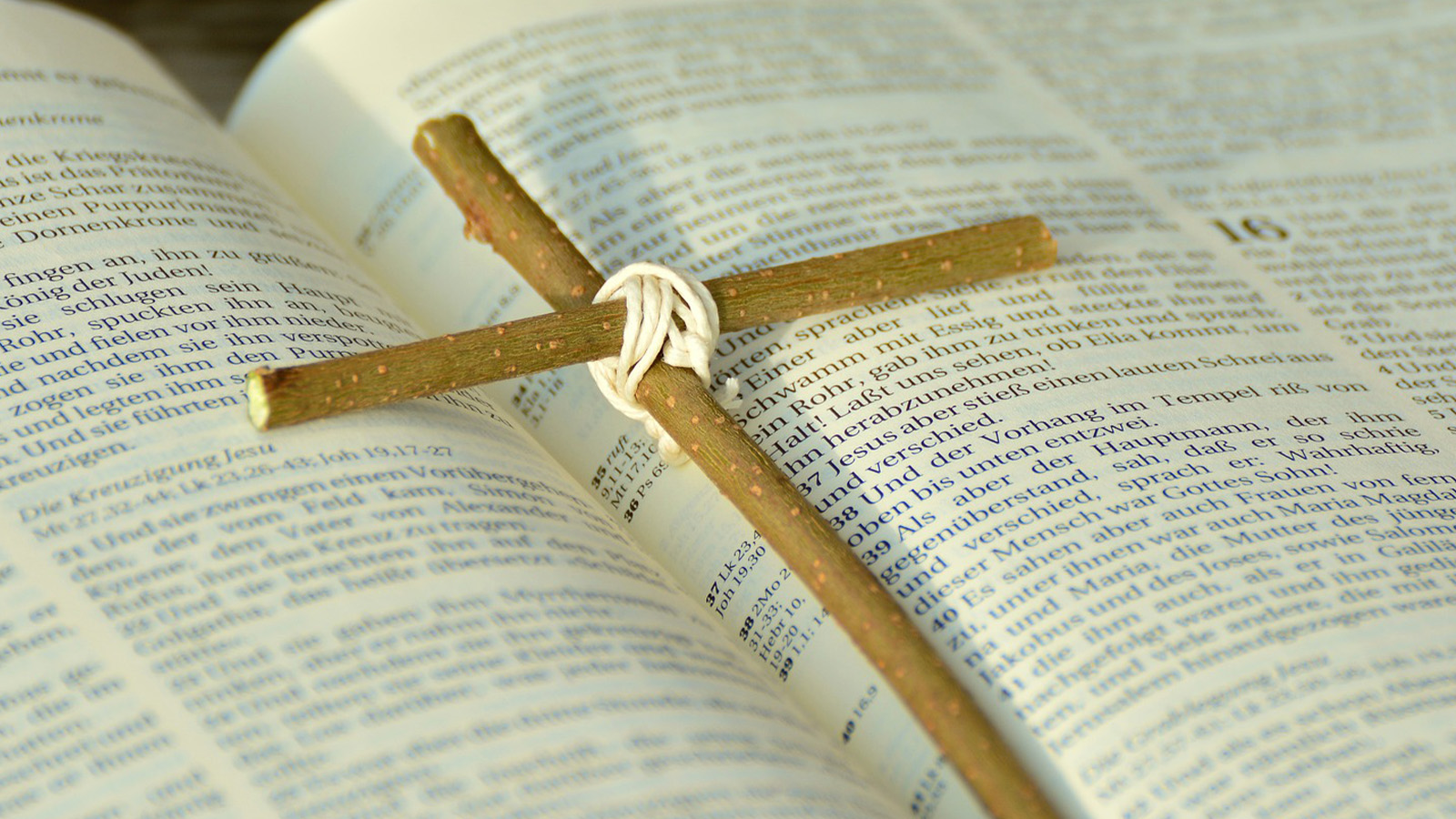 Tagung in Willebadessen: Bildungswerk Die HEGGE beleuchtet Feindschaft in Psalmen und Gegenwart